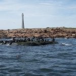 isla de lobos