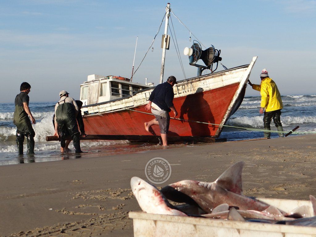 Pescadores Uruguay Visión Marítima 2365